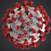 Corona Virus